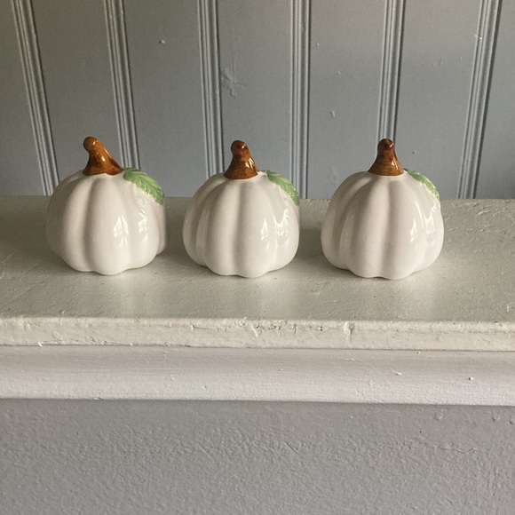 NWT- Set of 3- White- Green Leaf - Porcelain Glazed Fall Pumpkin Decorations 🍂 - Picture 9 of 16